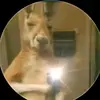 anthonymoisesaezp - @anthonymoisesaezp - TikTok
