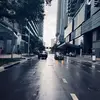 305202443 - @anthony.moleswort - TikTok