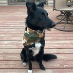 Anthony Molitor - @anthony.molitor.7 - Instagram