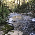 Anthony Molnar - @polarwolf2020 - Instagram