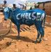 Anthony Momanyi - Facebook