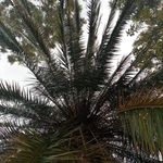 Anthony Momanyi - @amomanyi98 - Instagram