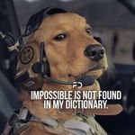 Anthony - @anthony_moncrief_ - Instagram