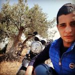 Anthony Mondello - @anthony.mondello.73 - Instagram