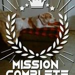 anthony mondello - @mondellomonte - Instagram