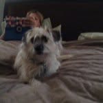Zack Anthony Monell - @mr.moustache456 - Instagram