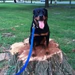 Mark Anthony Monfredo - @mmonfredo1982 - Instagram