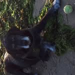 Anthony Mongen - @anthonymongen - Instagram