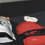 Anthony Montana - @anthonymontana.mma - Instagram