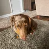 khloe - @anthonymoore1245 - TikTok