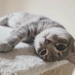 Anthony Morse - @itzb00 - Instagram