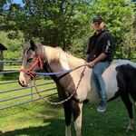 Anthony Mosconi - @ajmosconi16 - Instagram