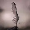 Anthony mossburgg - @anthonymossburgg - TikTok