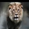 Antony Motamen - @antony.motamen - TikTok