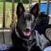 Anthony Motta - Facebook