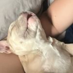 Anthony Moua - @ant_stocktone - Instagram