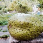 Anthony Moulton - @moultonanthony - Instagram