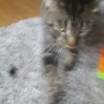 anthony - @anthony.mountenay - Instagram