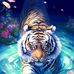 Antony MénMor - Facebook