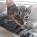 Anthony Mroz - @anthony.mroz.92 - Instagram