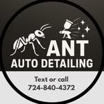 Anthony Mucci - @ant_auto_detailing - Instagram