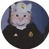 anthony.muccillo2012 - @anthont.muccillo2012 - TikTok