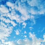 Anthony Mui - @tochaam.mui - Instagram