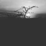 Anthony Muia - @anthonymuia3934 - Instagram