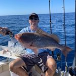 Anthony Muia - @swfl_offshorefishing - Instagram