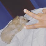 A.M.K - @anthony_muland - Instagram