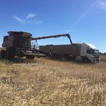 Anthony Mulcahy - @mulcahy_farms - Instagram