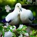 Anthony Mulero - Facebook
