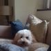 Anthony Mulhall - Facebook