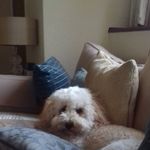 Anthony Mulhall - @anthony.mulhall.587 - Instagram