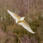 Anthony Mull Mulligan - @mull75 - Instagram
