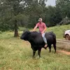 Anthony mcqueen - @mcqueen91rzr - TikTok