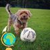 John Anthony Mulvey - Facebook
