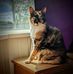 John Anthony Mulvey - Facebook