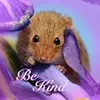johnanthonymulvey - @johnanthonymulvey - TikTok