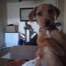 Tony Mulvey - Facebook
