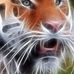 Anthony Mumphrey - Facebook