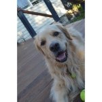 Lord Louie - @louie_anthony_munday - Instagram