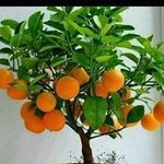 anthony munene wamaitha - @munene_antho - Instagram