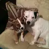 Anthony Munro - @anthony.munro7 - TikTok