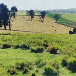 Anthony Muraguri - @anthonymuraguri - Instagram