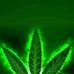 Anthony Murillo - Facebook