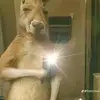 Anthony Murillo 🤍🤍 - @anthony.murillo582 - TikTok