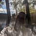 Tony Neese - Facebook