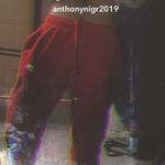 Anthony Nigro - @anthony_aka_nigro - Instagram