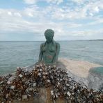 Antonio Natale - Facebook